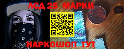 гидропоника Ставрополь