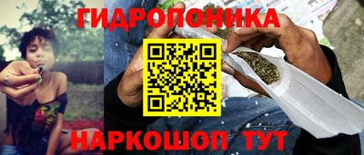 гидропоника Ставрополь