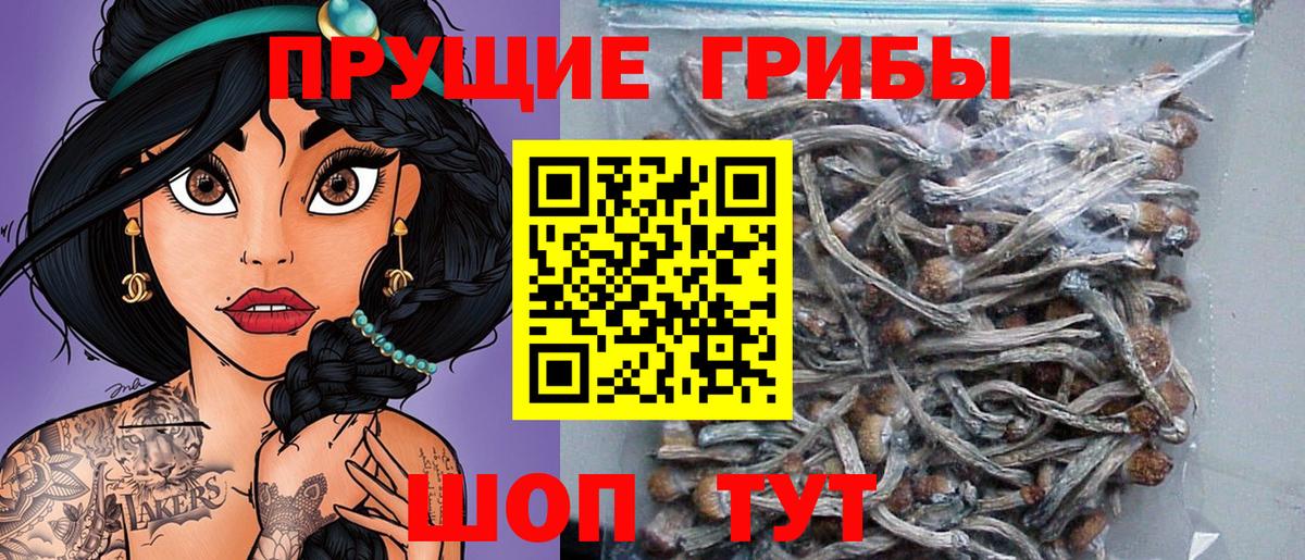 Острогожск  Псилоцибиновые грибы мухоморы  Галлюциногенные грибы Psilocybine cubensis  Вход с VPN 