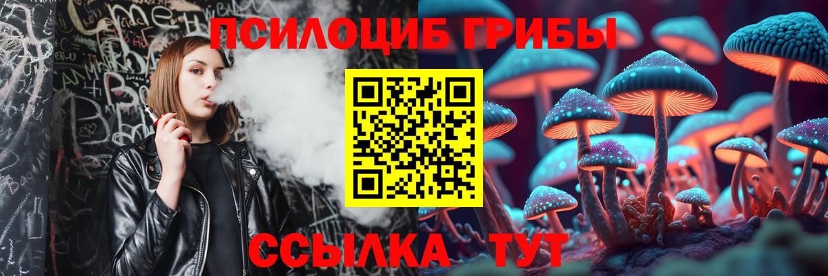 Галлюциногенные грибы Psilocybe Острогожск